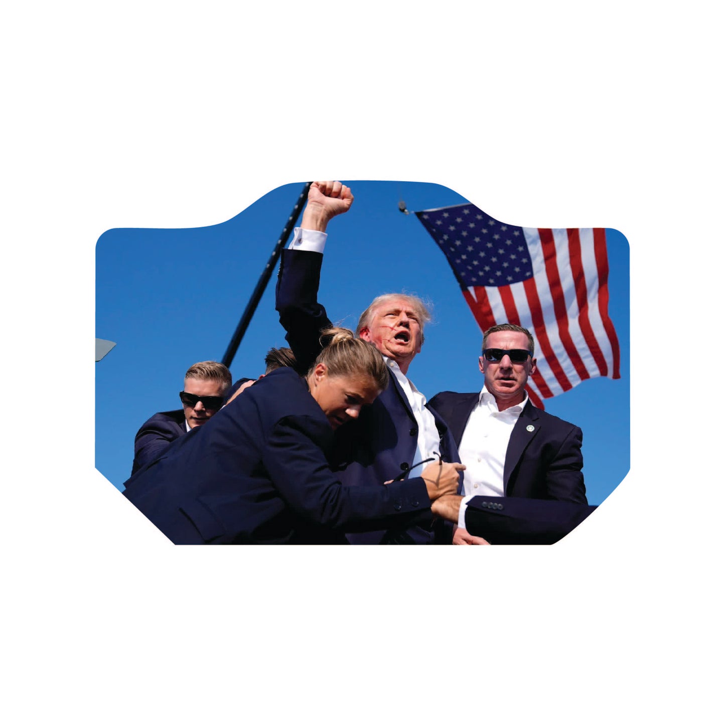 Trump - Standard Size
